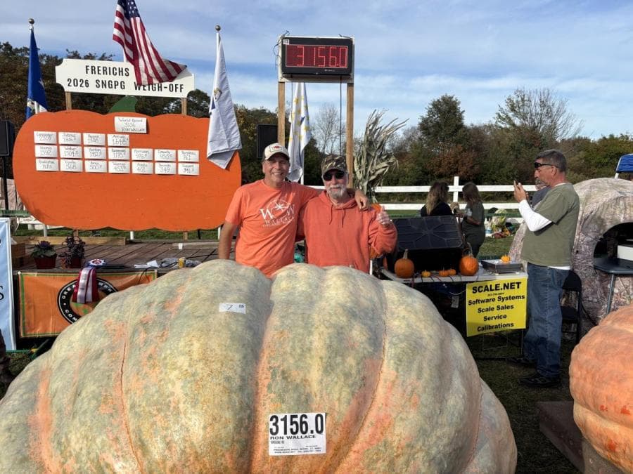 Ron Wallace and another man in orange shirts stand behind a giant pale orange pumpkin tagged 3156.0, under a scoreboard that reads 3,156.0.